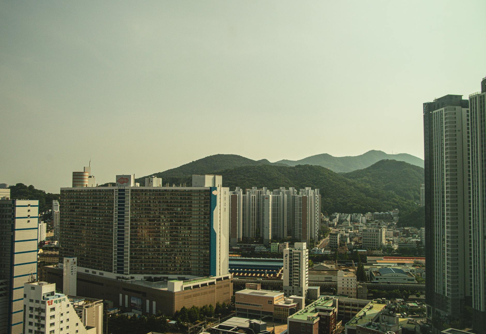 South Korea: How I Got Lost in Seoul and Found the Best Food