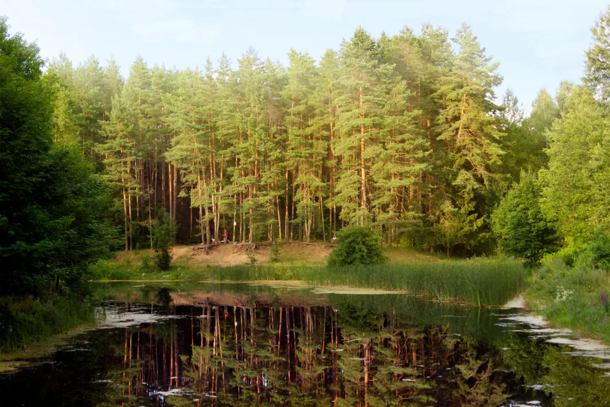Do You Need eSIM in Belarus? Honest Pros and Cons Explained