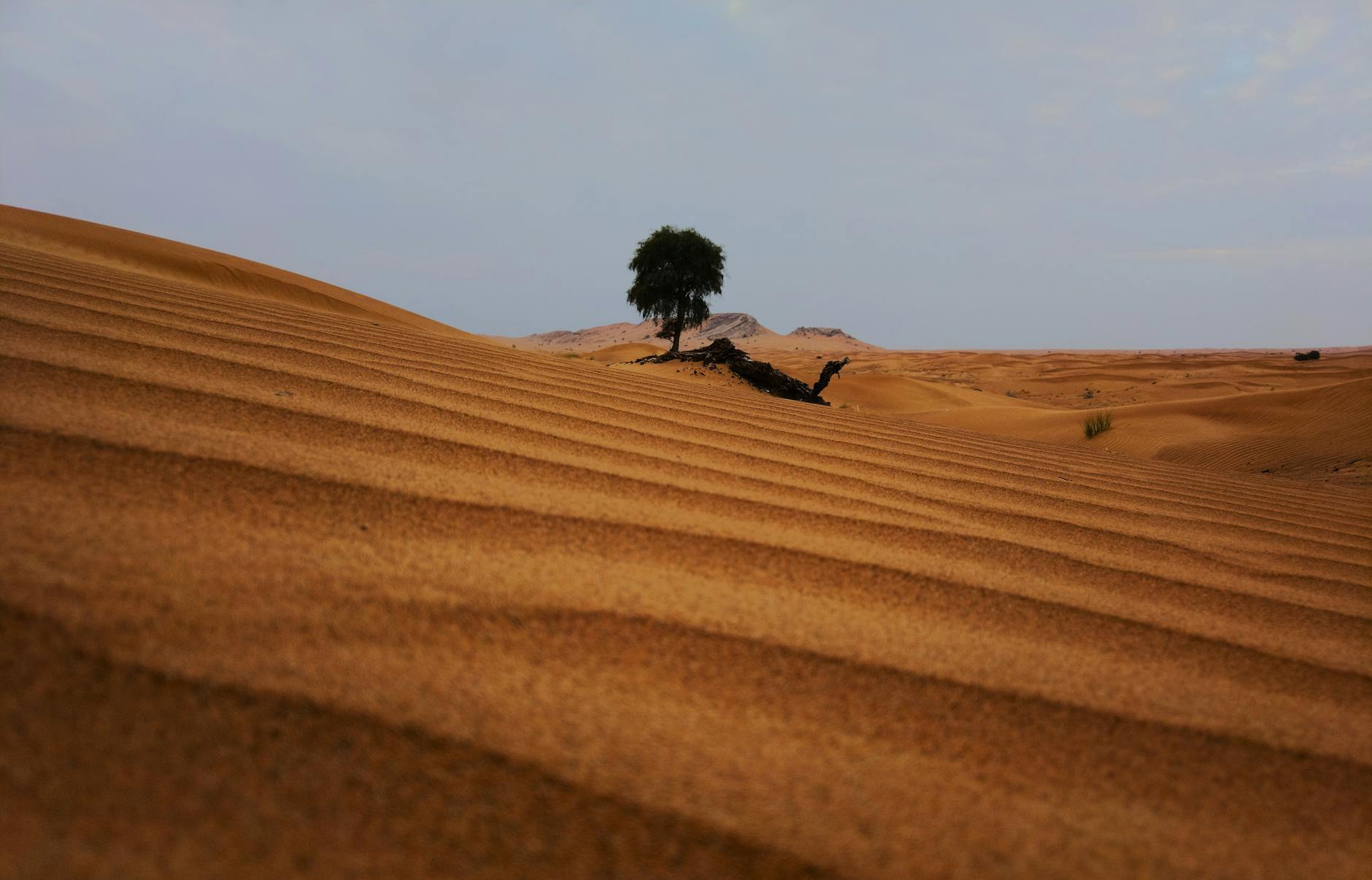 UAE: a complete guide for first-time visitors