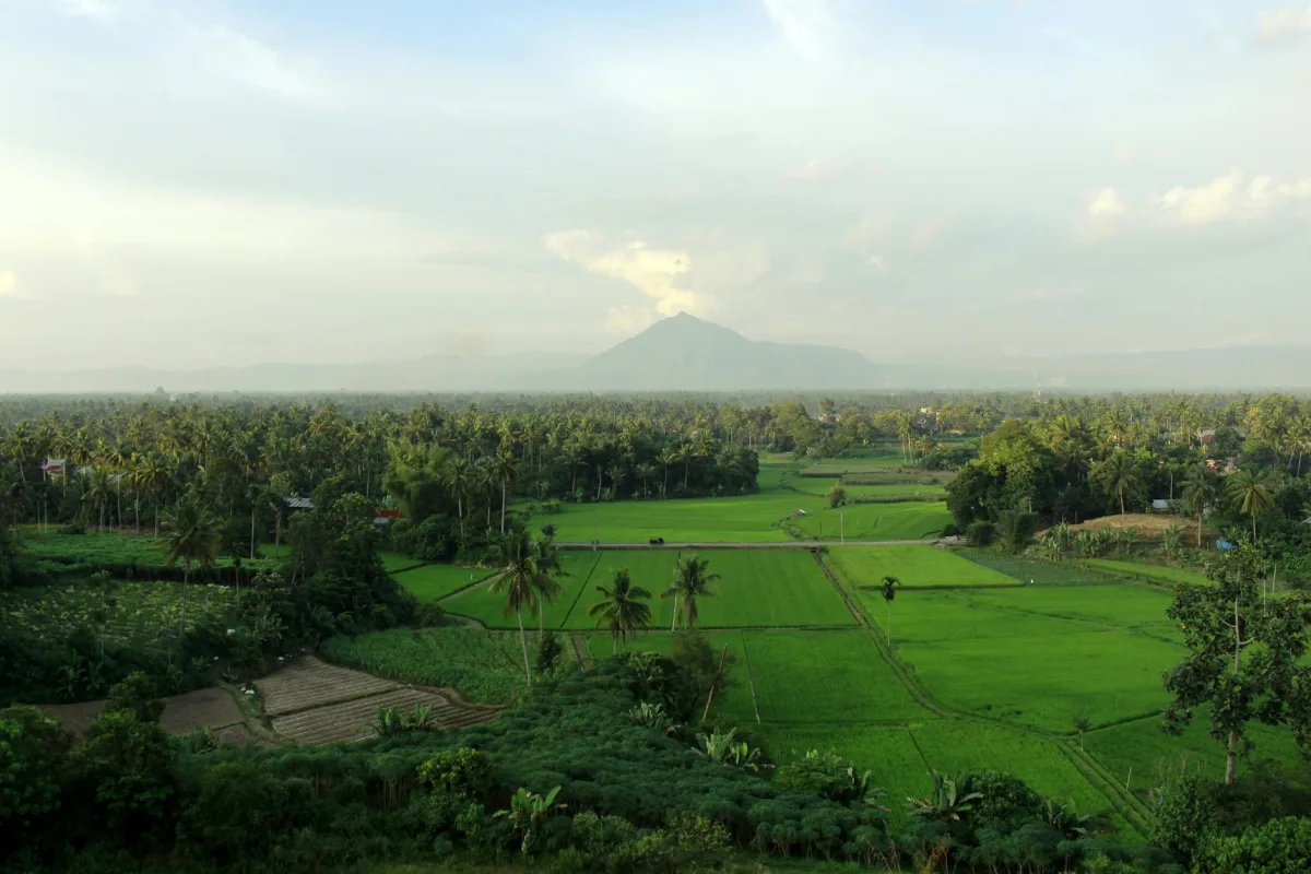 eSIM in Indonesia: Answers to 8 Key Questions for Travelers