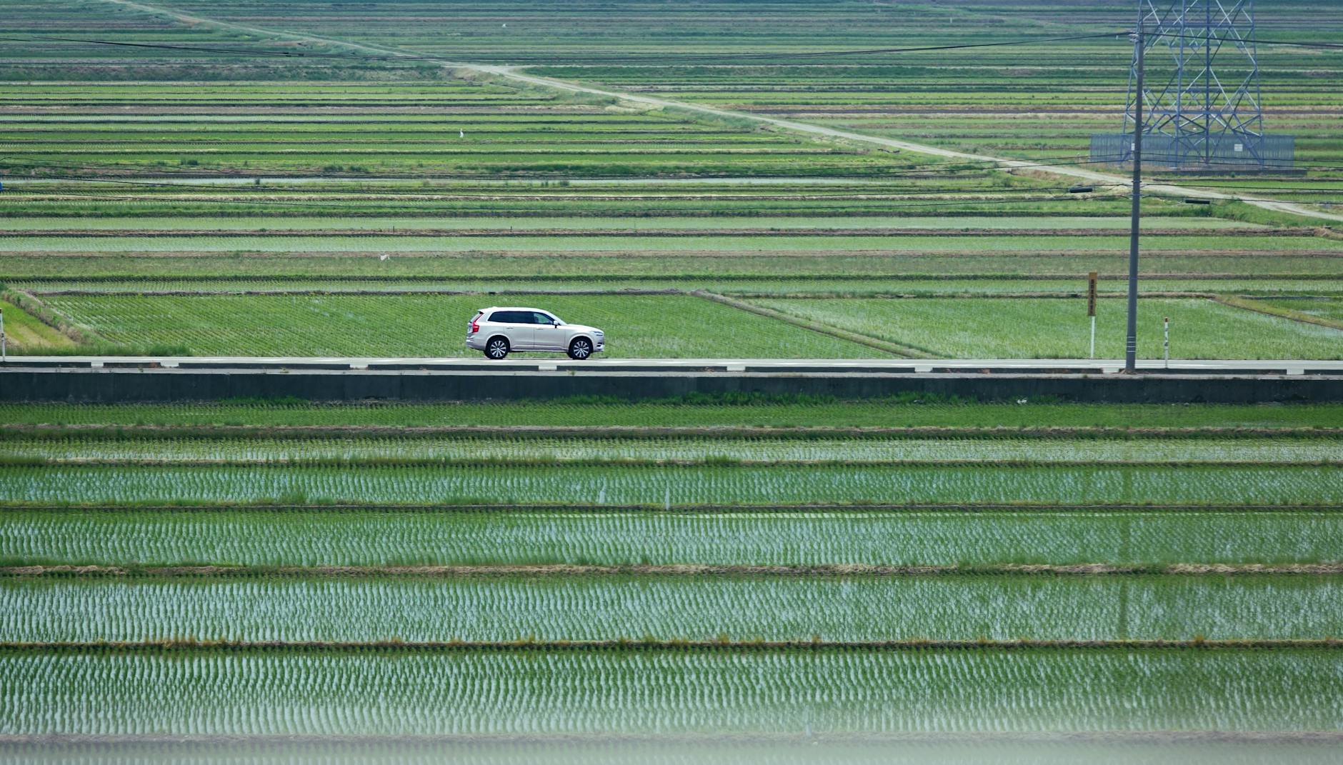 8 reasons to visit Japan: facts that will surprise you