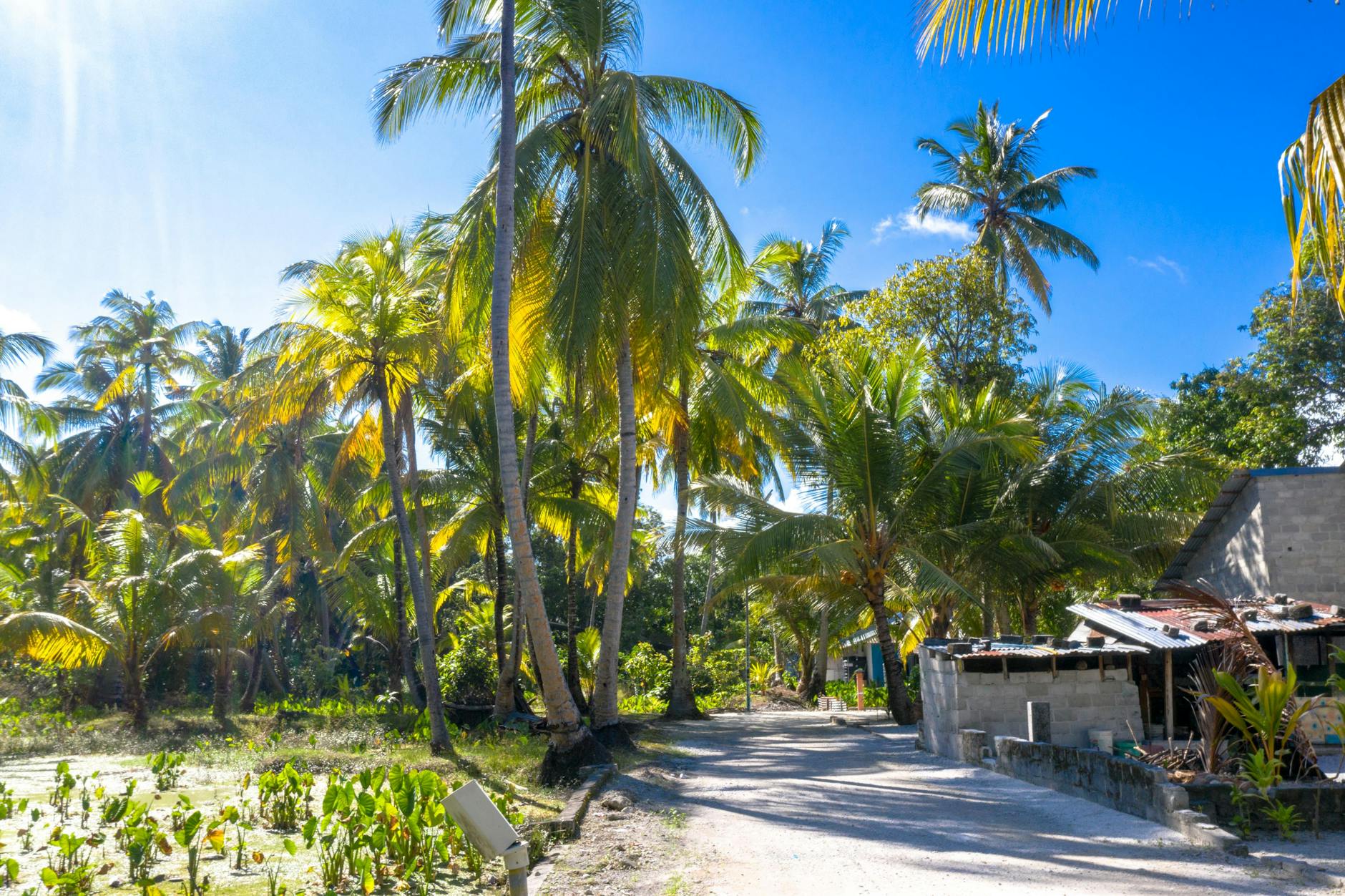 The Maldives — an archipelago of a thousand islands, so transportation here