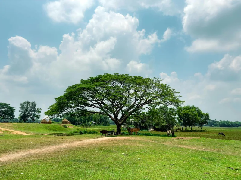 Accommodation in Bangladesh is very affordable: a simple guesthouse will cost from