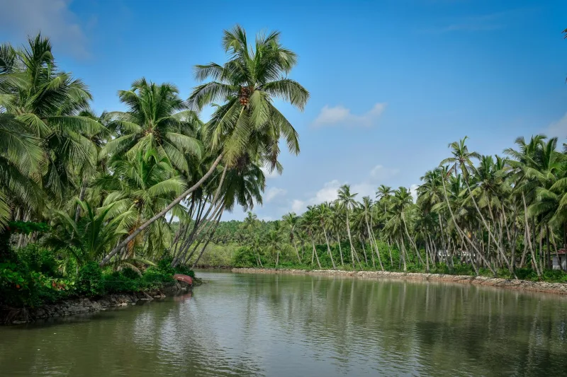 Accommodation in India for any budget: a simple guesthouse will cost from 500