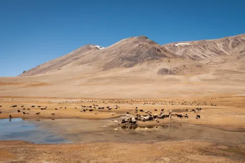 Central and South Asia — 5 destinations