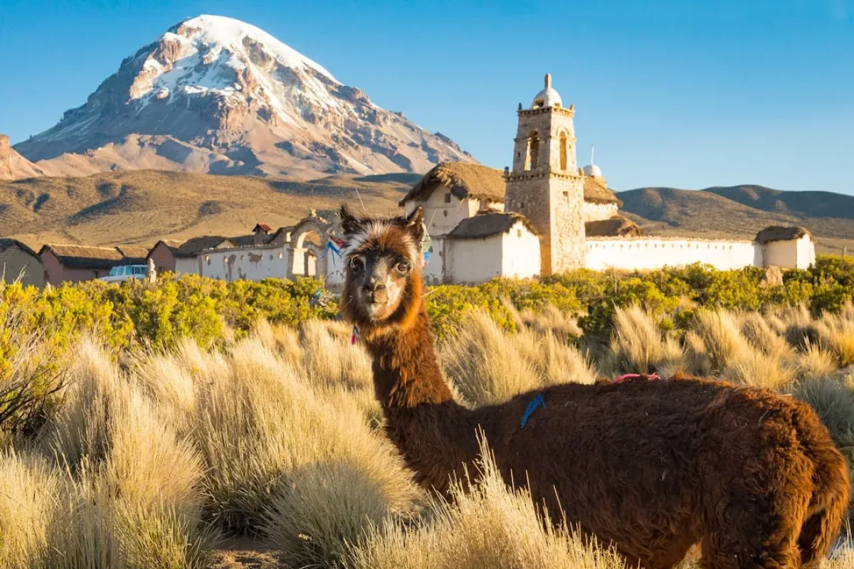 Bolivia