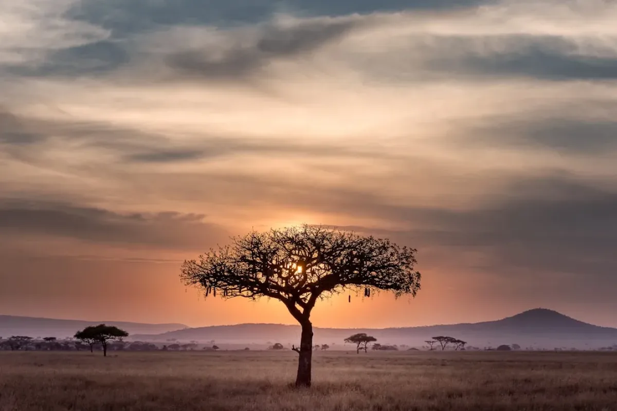Tanzania